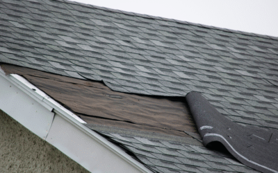 Missing Shingles In White Marsh, Do I Need To Replace My Roof?